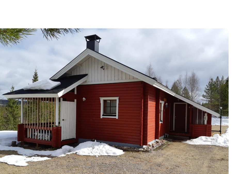 Metsorinne 3A sarvipöllö, Kotila, Finland