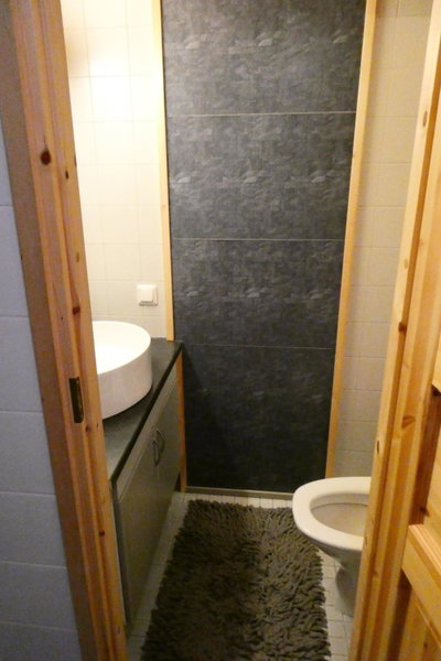 Metsorinne 3A sarvipöllö, Kotila, Finland