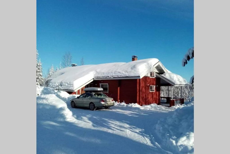 Metsorinne 3A sarvipöllö, Kotila, Finland
