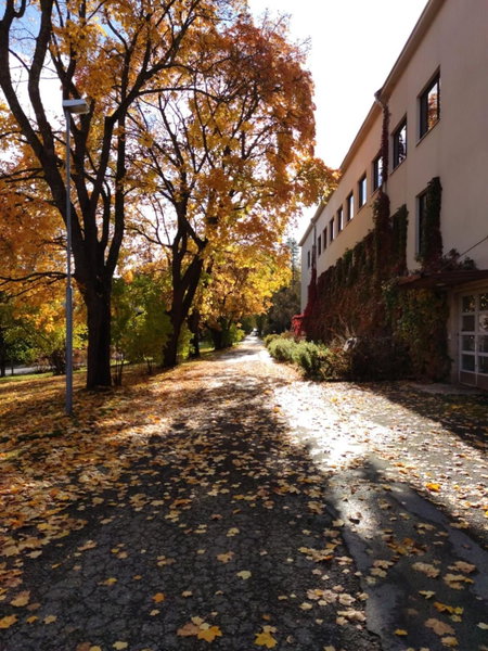 Hostel Bjorkenheim, Seinäjoki, Finland