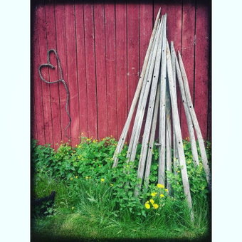 Willa Mustijoki, Laukkoski, Finland