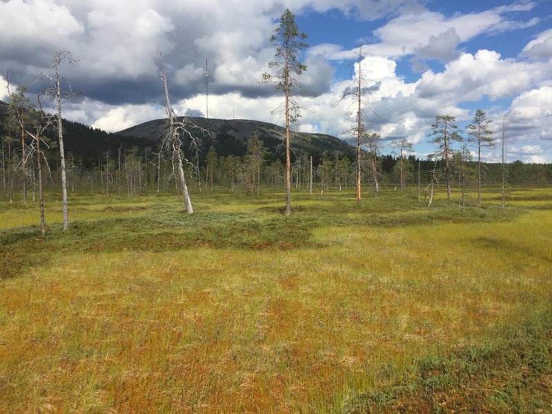 Ankkalinna, Pyhätunturi, Finland