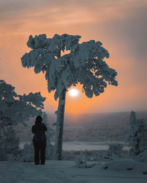 Halo Igloos - Private Sauna & Jacuzzi, Rovaniemi, Finland