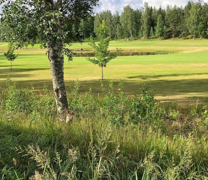 Honeyhill Villa Karhu, Isnäs, Finland