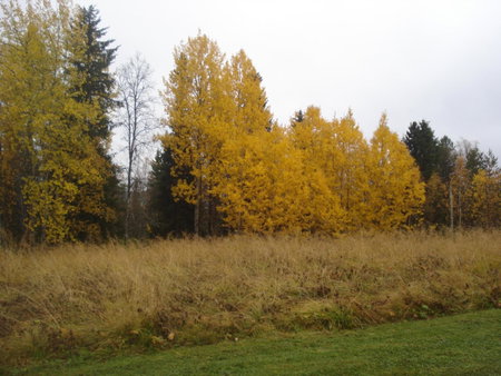 Toola-Lodge, Syöte, Finland