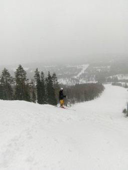 Metsorinne, Kotila, Finland