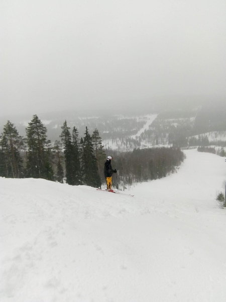 Metsorinne, Kotila, Finland