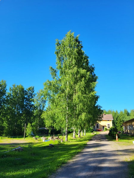 Old village school, Kolkontaipale, Finland