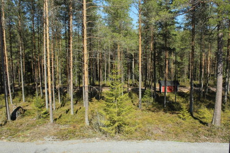 Metsäkartano, Kannus, Finland