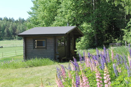 Hännilän Tila, Vaestaboland, Finland