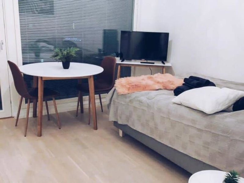 New Studio Zebra near Airport, Vantaa, Finlandia