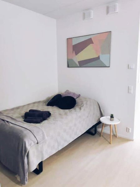New Studio Mint near Airport, Vantaa, Finland