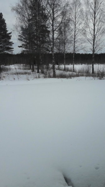 Karijoen Helmi, Karijoki, Finland