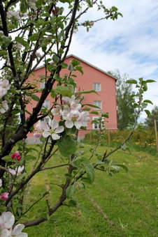 Old School, Suolahti, Finnland