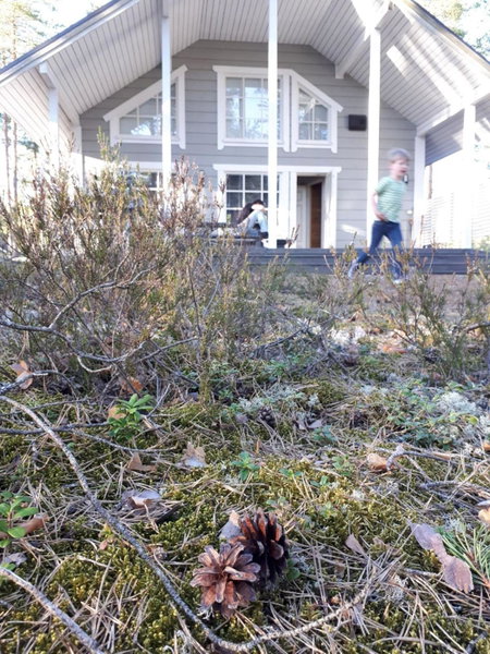 Villa Alex, Virttaa, Finland