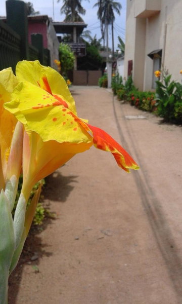 Home Living Unit, Galle, Sri Lanka