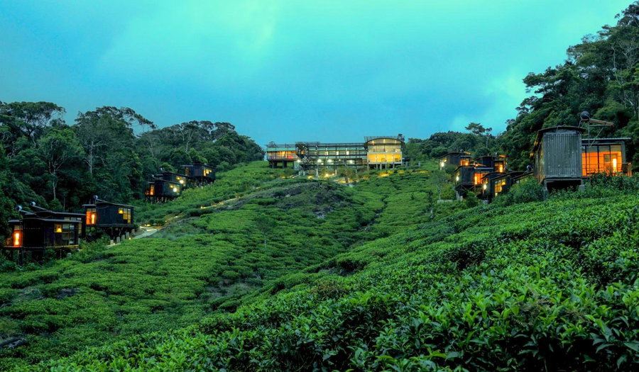 The Rainforest Ecolodge - Sinharaja with Shuttle Service from Car Park, Deniyaya, Sri Lanka