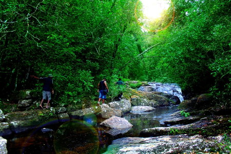 The Rainforest Ecolodge - Sinharaja with Shuttle Service from Car Park, Deniyaya, Sri Lanka