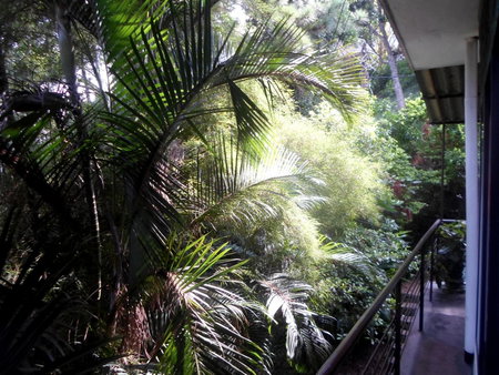 Drop Hostel, Kandy, Sri Lanka