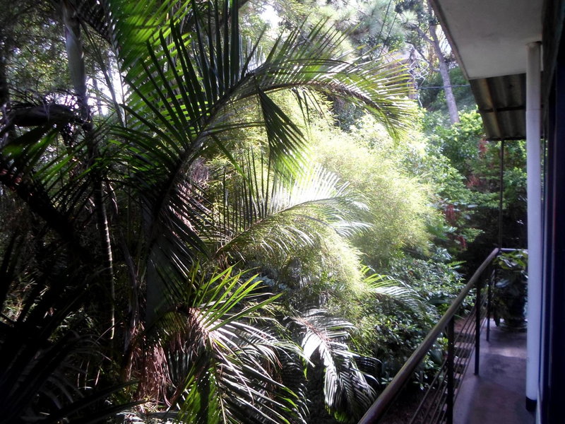Drop Hostel, Kandy, Sri Lanka