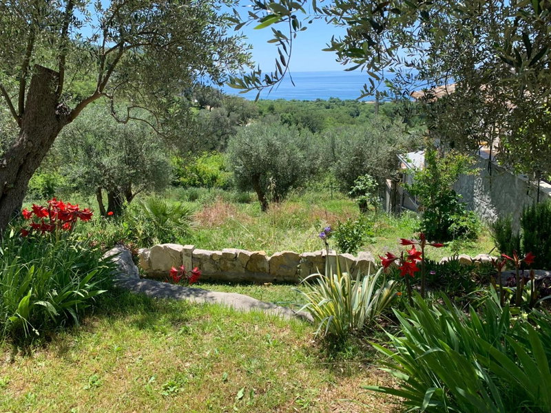 Apartments Mirian, Petrovac na Moru, Montenegro