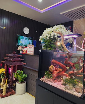 DT Hotel Hai Phong, Hai Phong, Viêt Nam