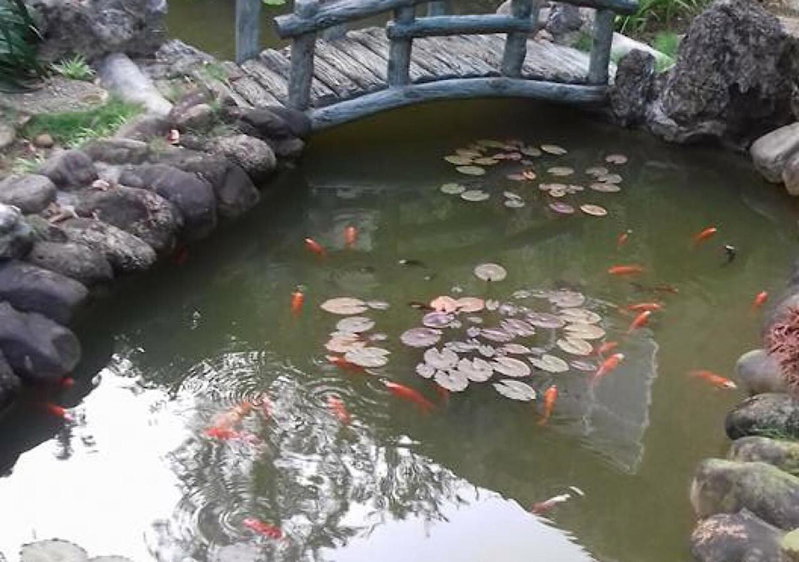 Ciel Homestay, Hue, Vietnam