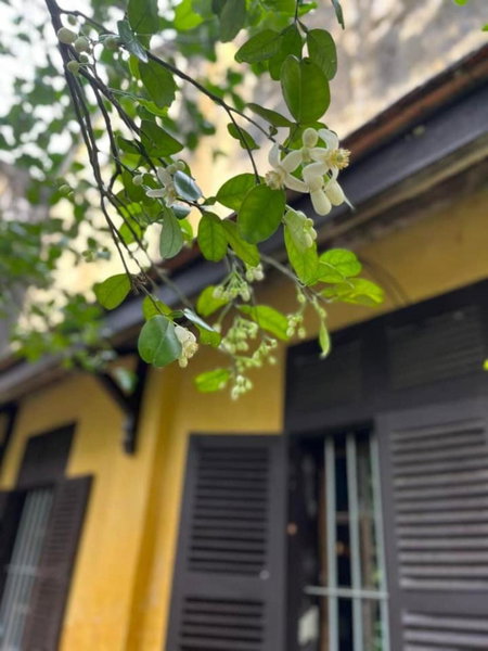Ciel Homestay, Hue, Vietnam
