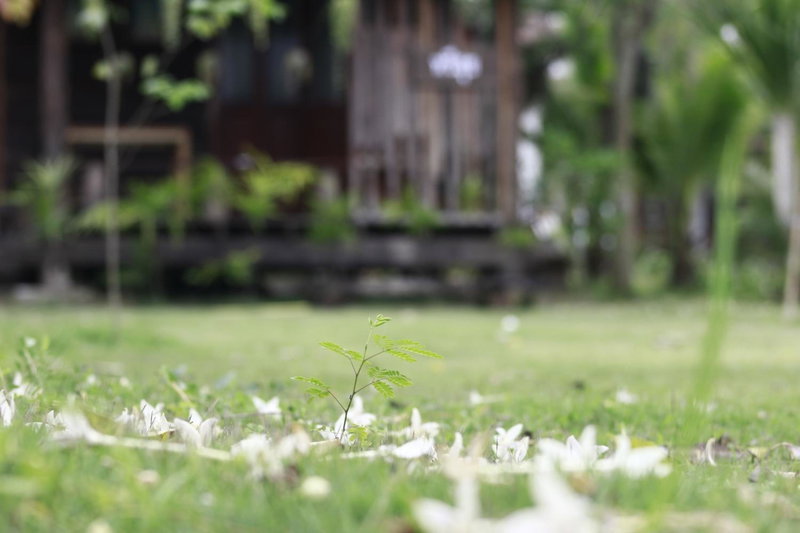 Baan Suan La Moon, Chiang Khan, Thailand