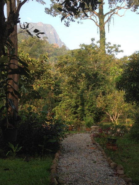 At Home Chiang Dao, Pooch Lovers, Ban Tham, Thailand