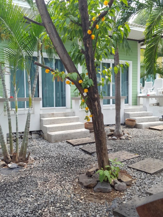 Charlie's Bungalows, Ko Si Chang, Tailandia