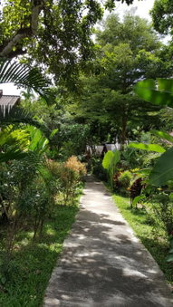 Khao Sok Jungle Huts Resort, Khao Sok, Thaïlande