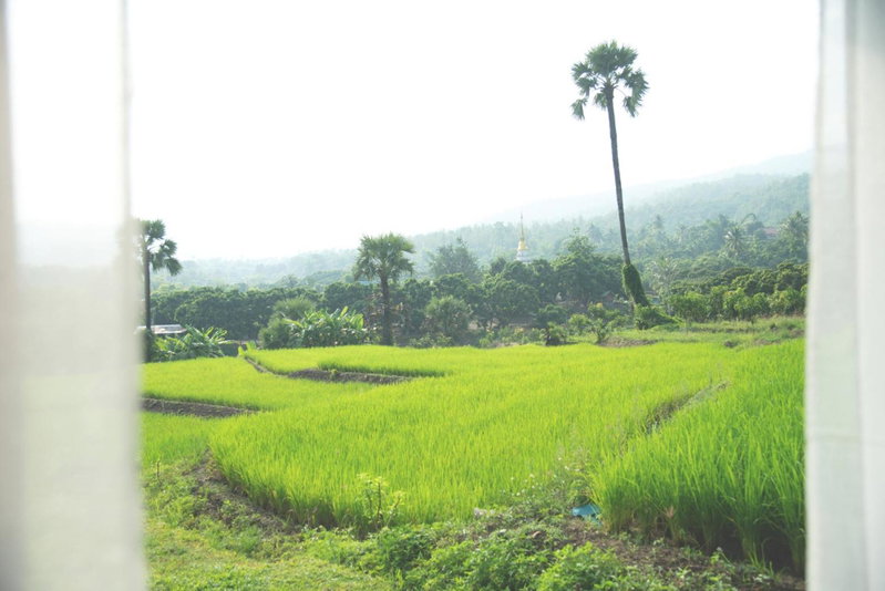 Suan Sook Homestay, Chom Thong, Thailand