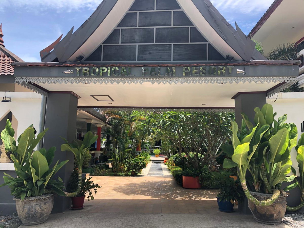 Tropical Palm, ประเทศไทย