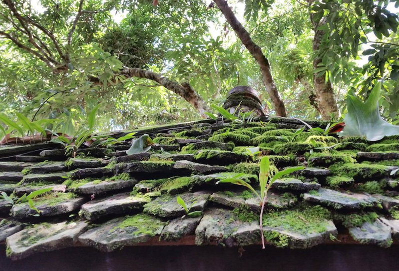 Pan Kled Villa Eco Hill Resort, Chiang Rai, Thaïlande