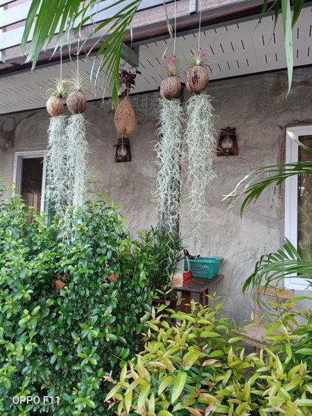 Yotin Guest House, Trat, Thaïlande