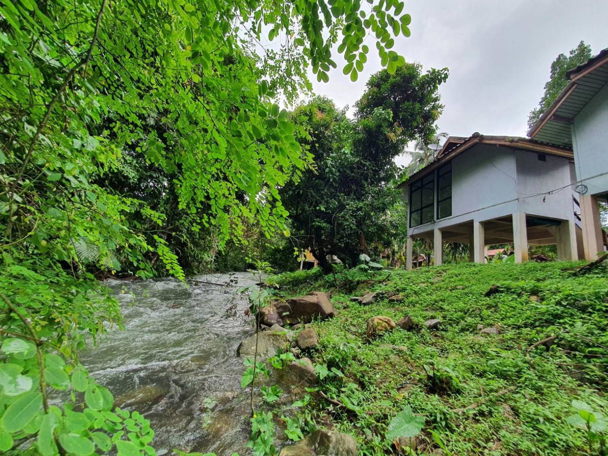Отель · Malulee KhaoSok Resort, Khao Sok