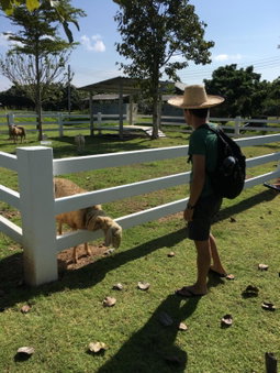 Bann Rai Klai Weang Homestay, Ban Muang Chum, Thaïlande