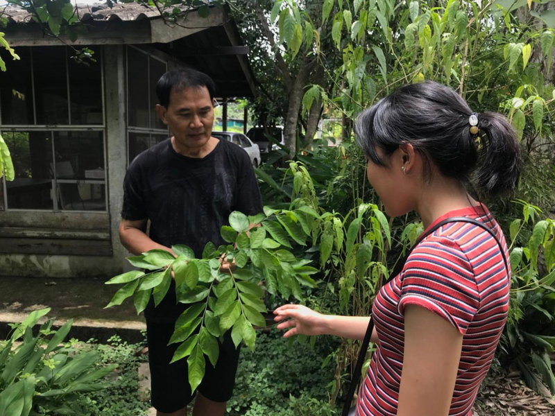 Bann Rai Klai Weang Homestay, Ban Muang Chum, Thaïlande