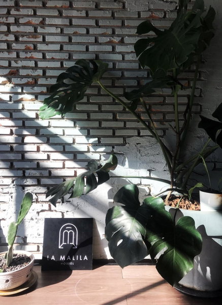 La Malila Hostel, Udon Thani, Thailand