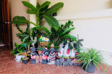 The Best House&Hostel, Ban Don Muang, Thailand