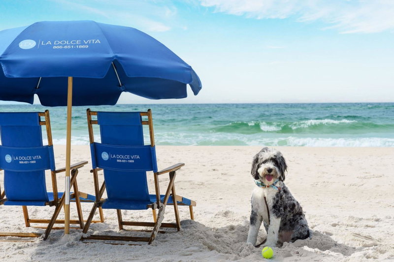 Four Points by Sheraton Destin - Fort Walton Beach, Fort Walton Beach, États-Unis