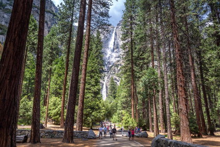 Evergreen Lodge at Yosemite, Groveland, United States