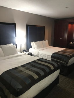Wingate by Wyndham Charleston Coliseum, Charleston, United States