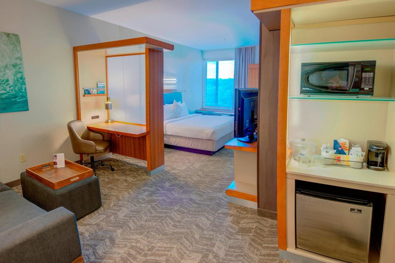 SpringHill Suites by Marriott Macon, Macon, United States