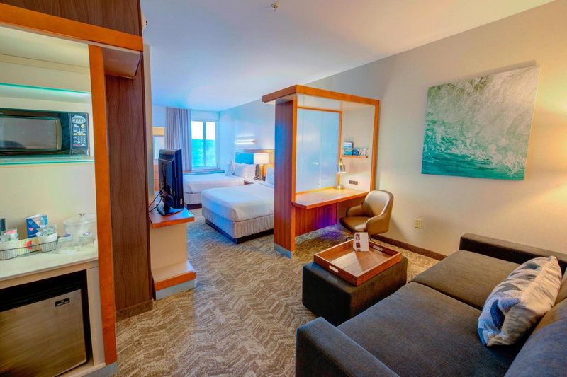 SpringHill Suites by Marriott Macon, Macon, United States