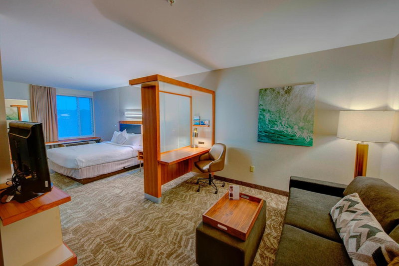 SpringHill Suites by Marriott Macon, Macon, United States