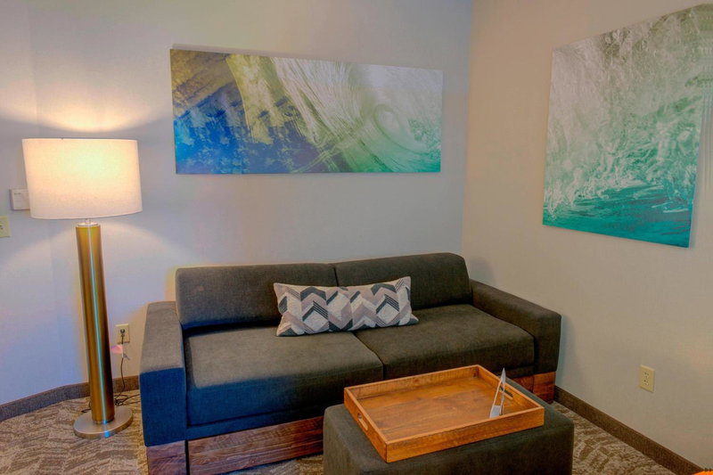 SpringHill Suites by Marriott Macon, Macon, United States