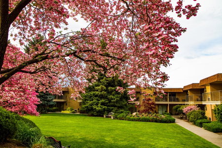 Mirabeau Park Hotel, Spokane Valley, United States