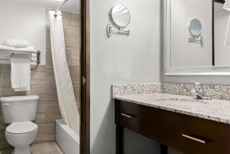 Best Western Plus Flint Airport Inn & Suites, Flint, United States